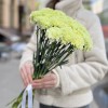 Гвоздика зеленая