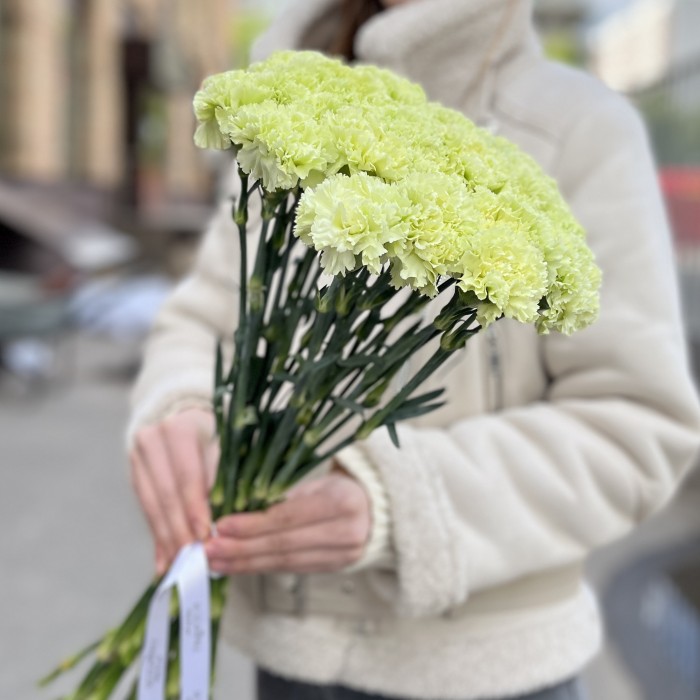 Гвоздика зеленая