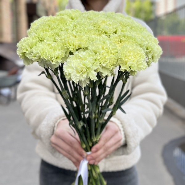 Гвоздика зеленая