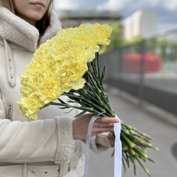 Гвоздика желтая