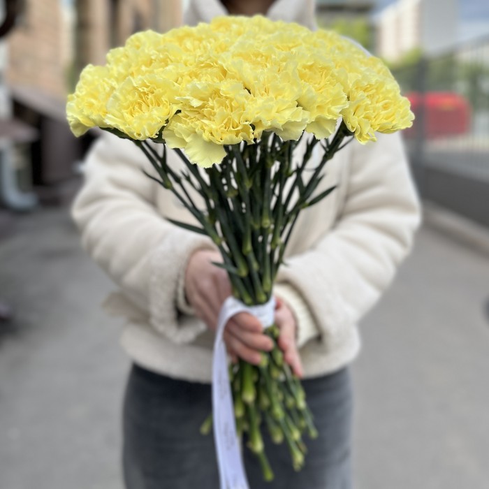 Гвоздика желтая