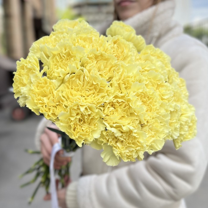 Гвоздика желтая