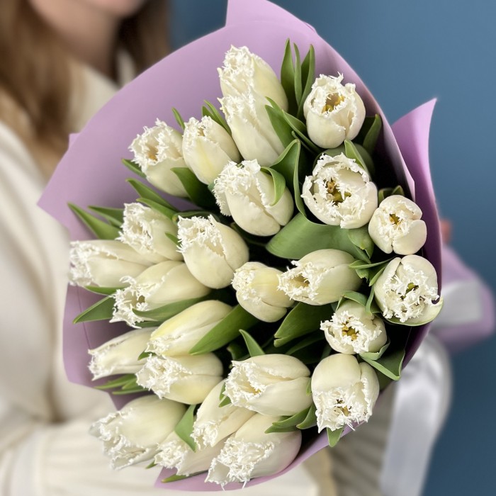 25 махровых белых тюльпанов