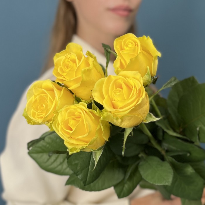 5 желтых роз Хай Еллоу 60 см
