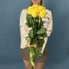 5 желтых роз Хай Еллоу 60 см