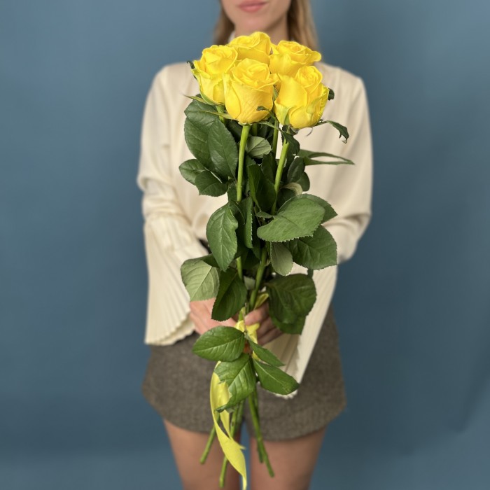 5 желтых роз Хай Еллоу 60 см