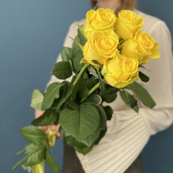 5 желтых роз Хай Еллоу 60 см