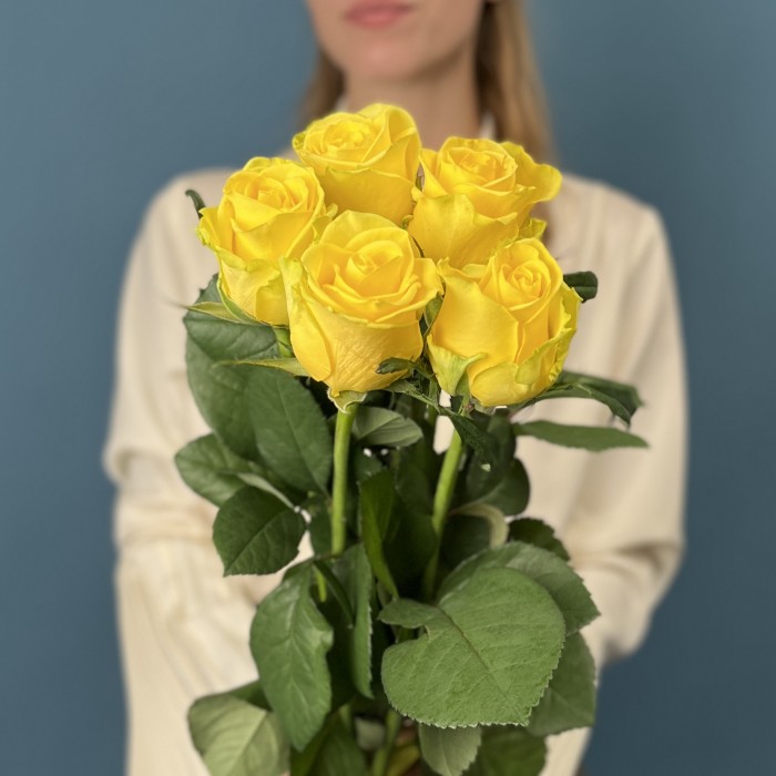 5 желтых роз Хай Еллоу 60 см