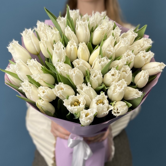 51 махровый белый тюльпан