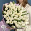 51 махровый белый тюльпан
