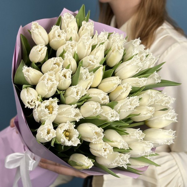 51 махровый белый тюльпан