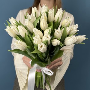 Тюльпан махровый белый