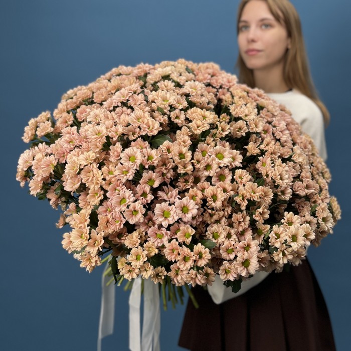 101 кустовая хризантема Капуцино