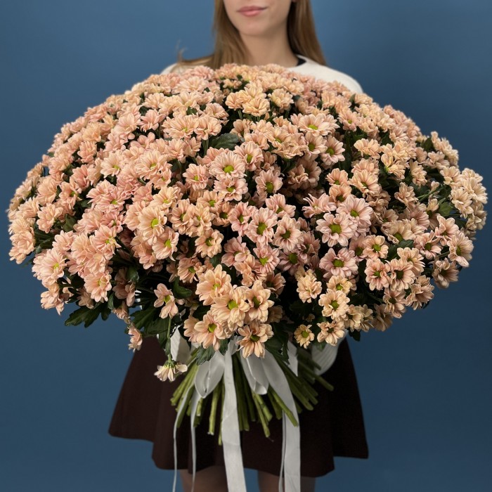 101 кустовая хризантема Капуцино