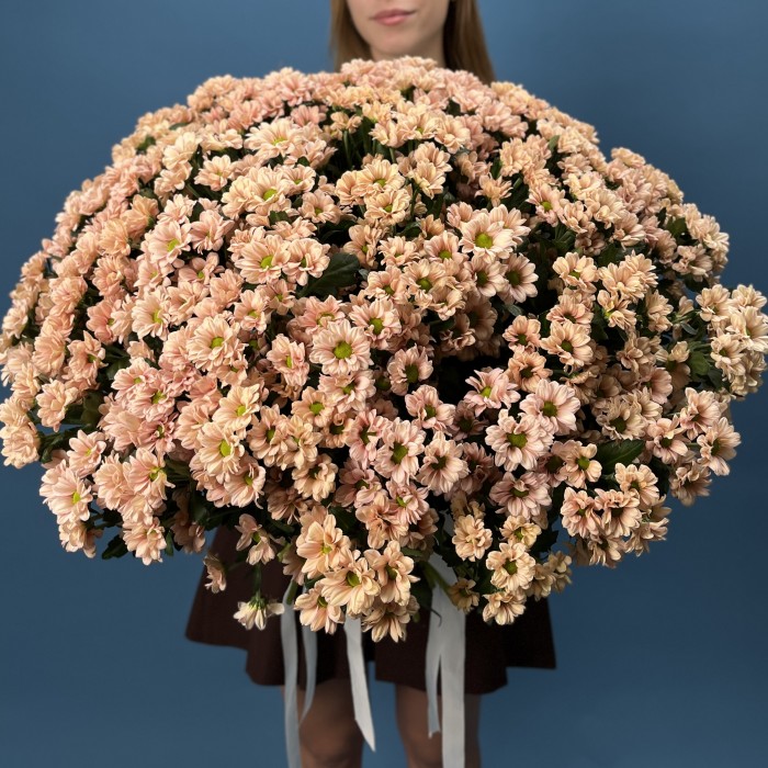 101 кустовая хризантема Капуцино