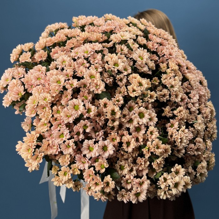 101 кустовая хризантема Капуцино