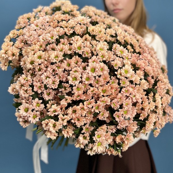 101 кустовая хризантема Капуцино