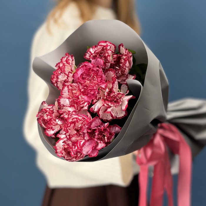 11 бело-бордовых гвоздик