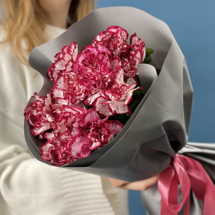 11 бело-бордовых гвоздик