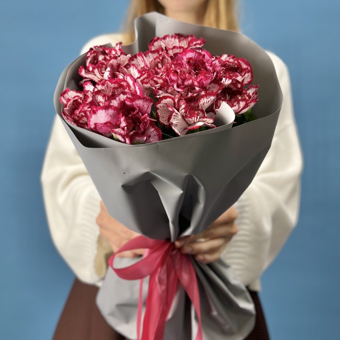 11 бело-бордовых гвоздик