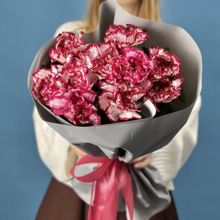 11 бело-бордовых гвоздик