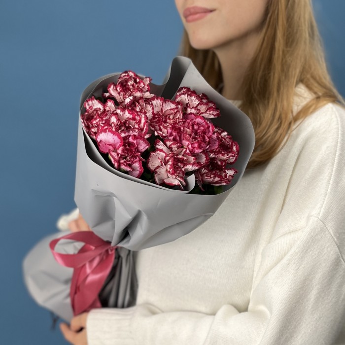 11 бело-бордовых гвоздик