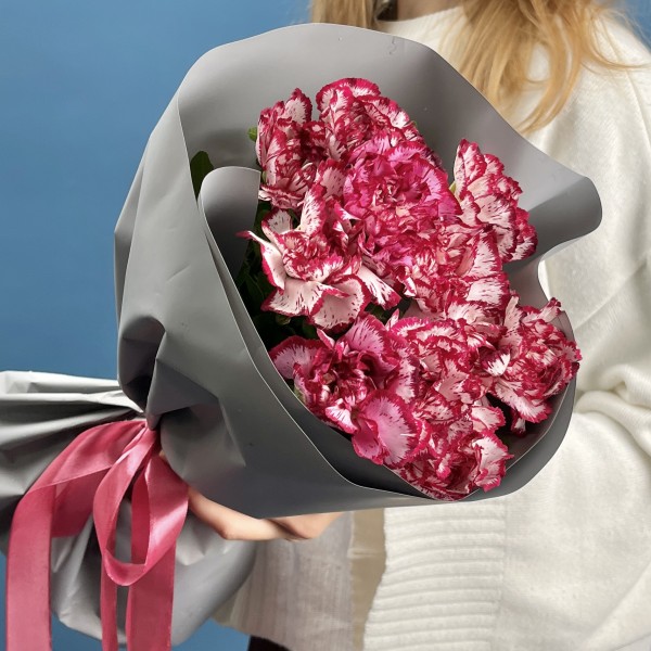 11 бело-бордовых гвоздик