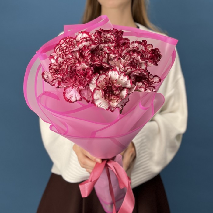 15 бело-бордовых гвоздик