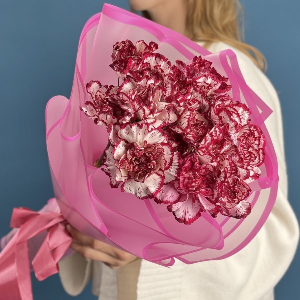 15 бело-бордовых гвоздик