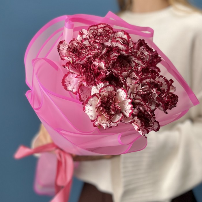 15 бело-бордовых гвоздик