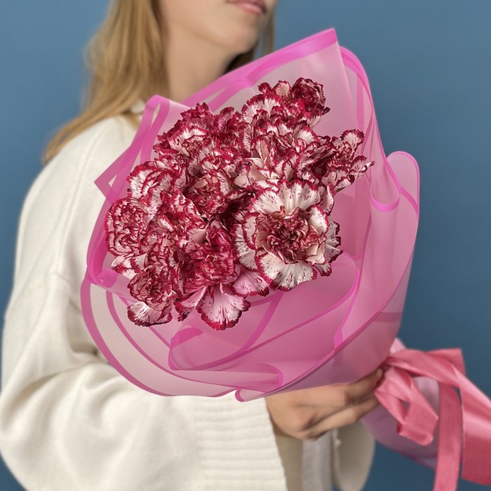 15 бело-бордовых гвоздик