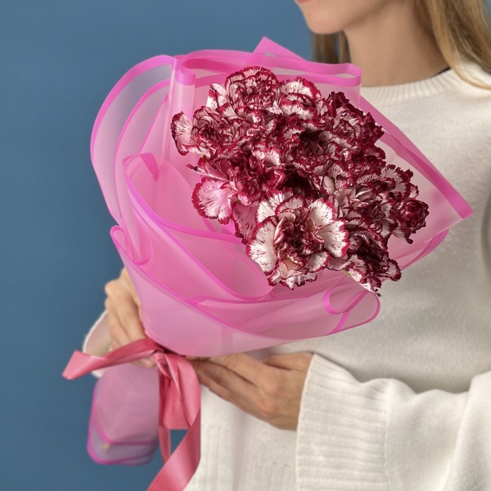 15 бело-бордовых гвоздик