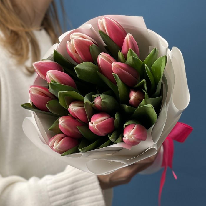 15 малиновых тюльпанов Камалия