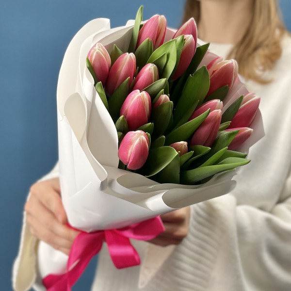 15 малиновых тюльпанов Камалия