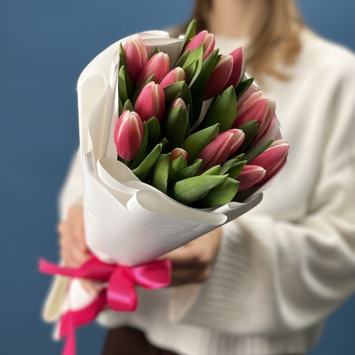 15 малиновых тюльпанов Камалия