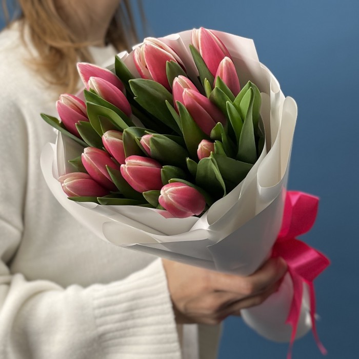 15 малиновых тюльпанов Камалия