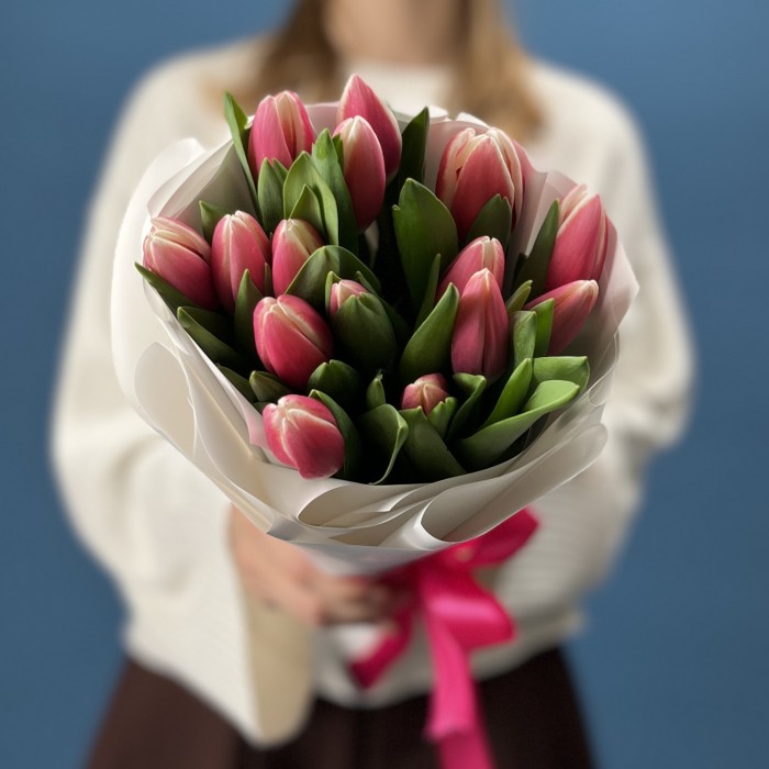 15 малиновых тюльпанов Камалия