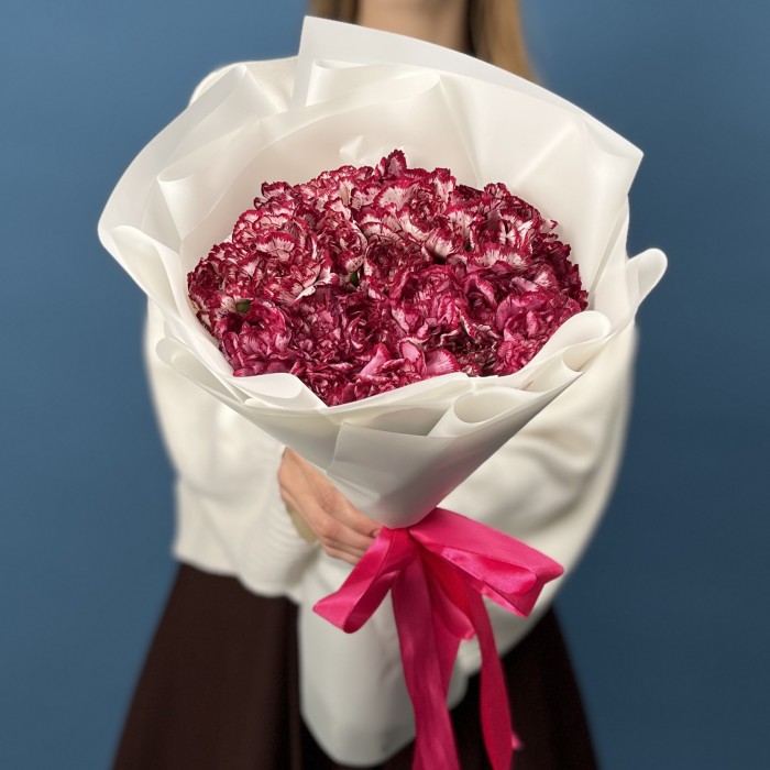 25 бело-бордовых гвоздик