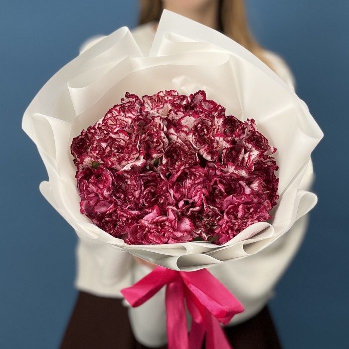 25 бело-бордовых гвоздик