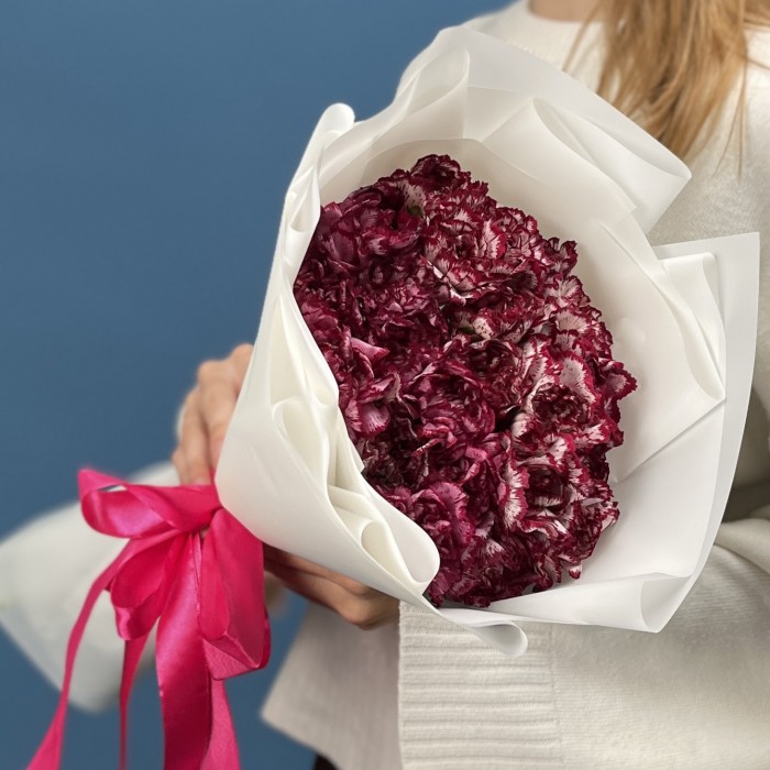 25 бело-бордовых гвоздик