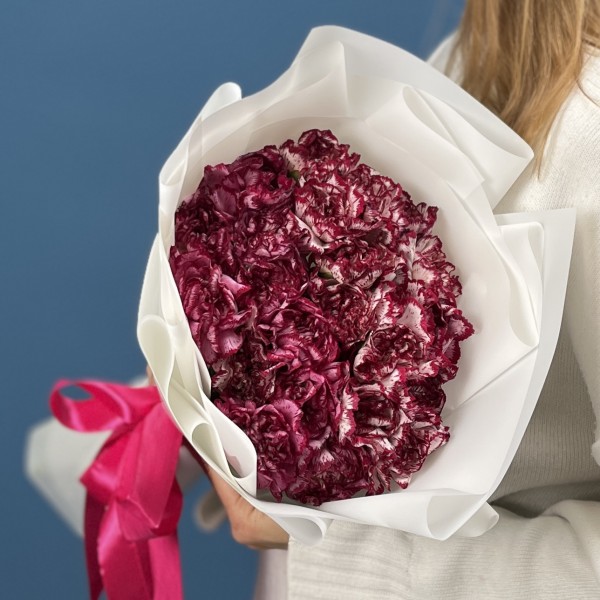 25 бело-бордовых гвоздик