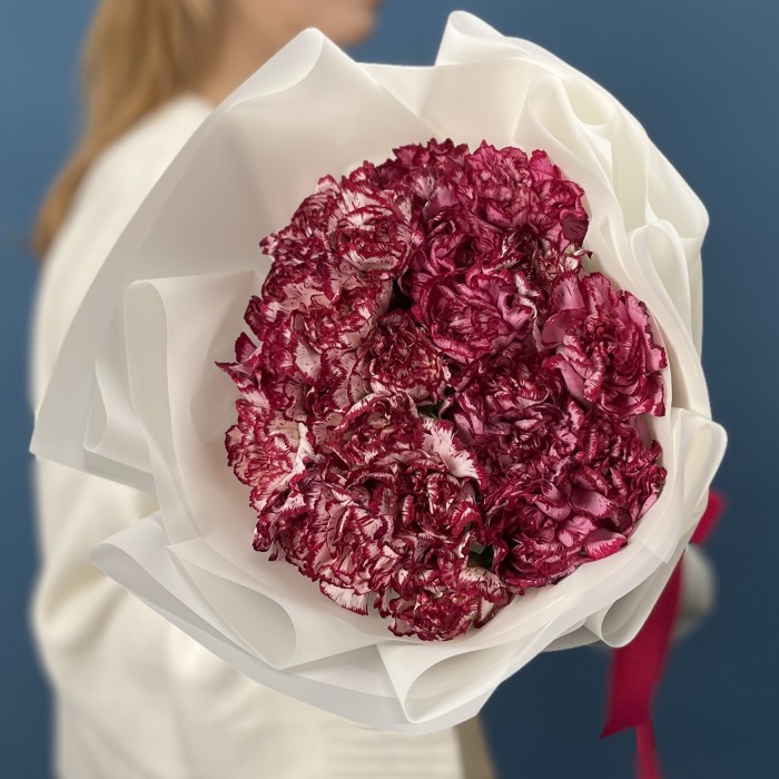 25 бело-бордовых гвоздик