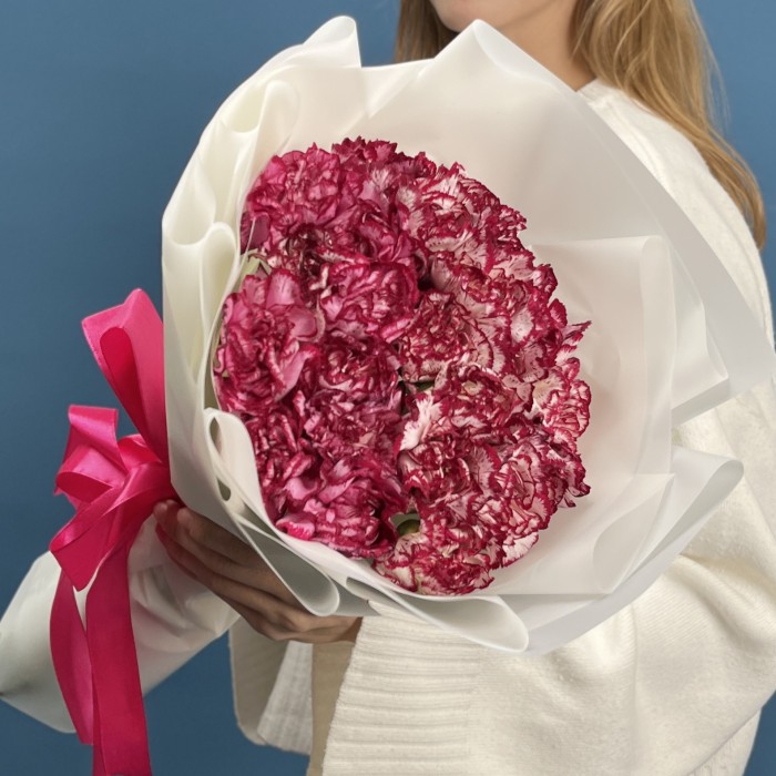 25 бело-бордовых гвоздик