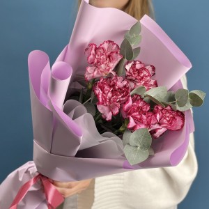 5 бело-бордовых гвоздик с эвкалиптом