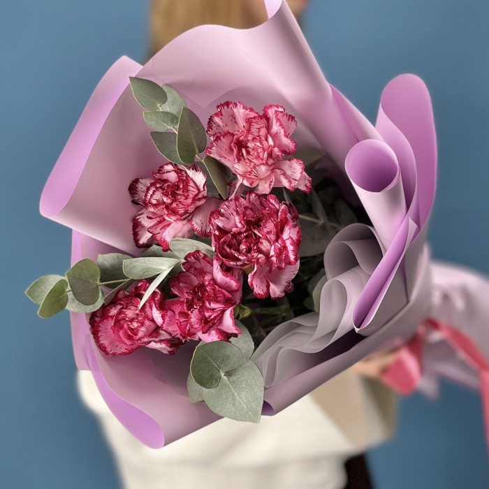 5 бело-бордовых гвоздик с эвкалиптом