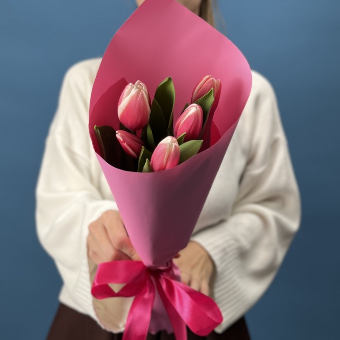 5 малиновых тюльпанов Камалия