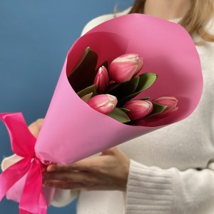 5 малиновых тюльпанов Камалия