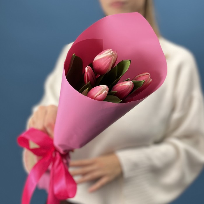 5 малиновых тюльпанов Камалия