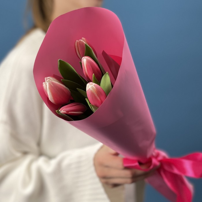 5 малиновых тюльпанов Камалия