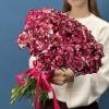 51 бело-бордовая гвоздика
